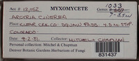 Image Associated With the Occurence